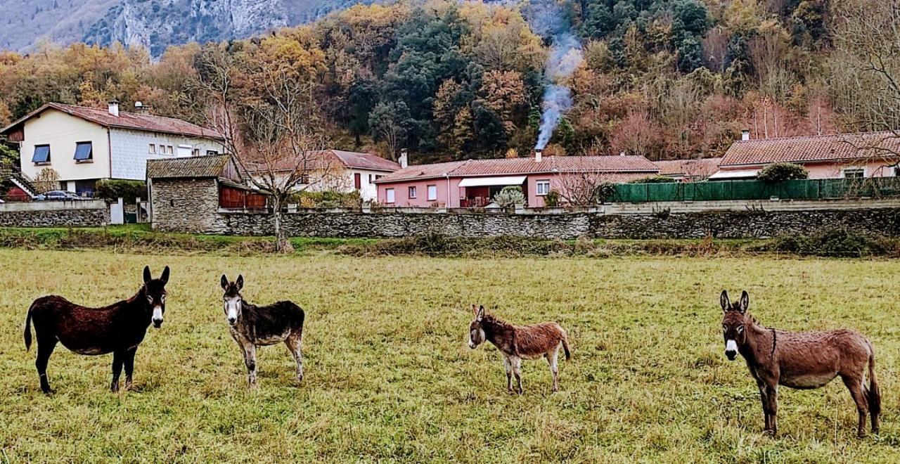 Le Nopal Bleu Lägenhet Tarascon-sur-Ariège Exteriör bild