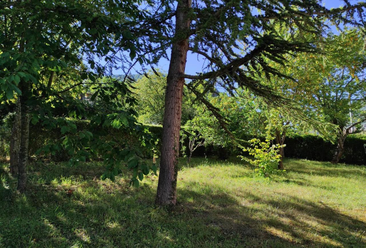 Le Nopal Bleu Lägenhet Tarascon-sur-Ariège Exteriör bild